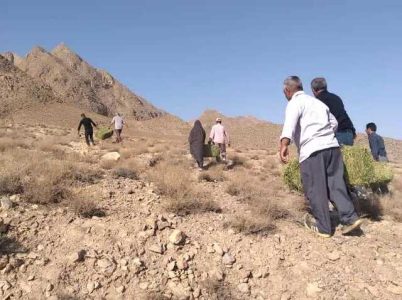 نذر علوفه در پررونق ترین روستای گردشگری حاشیه پارک ملی توران