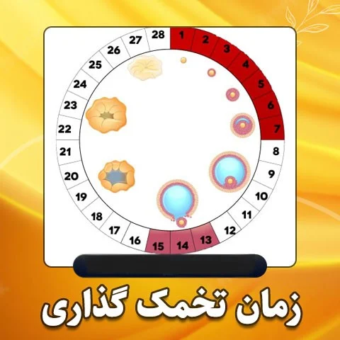 محاسبه آنلاین زمان تخمک گذاری برای پسردار شدن