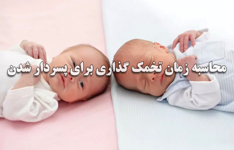 محاسبه آنلاین زمان تخمک گذاری برای پسردار شدن