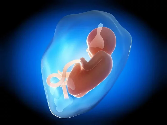 مایع آمنیوتیک باید چقدر باشد؟